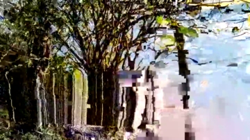 Gomez98xxx  06-08-2021 video leggings